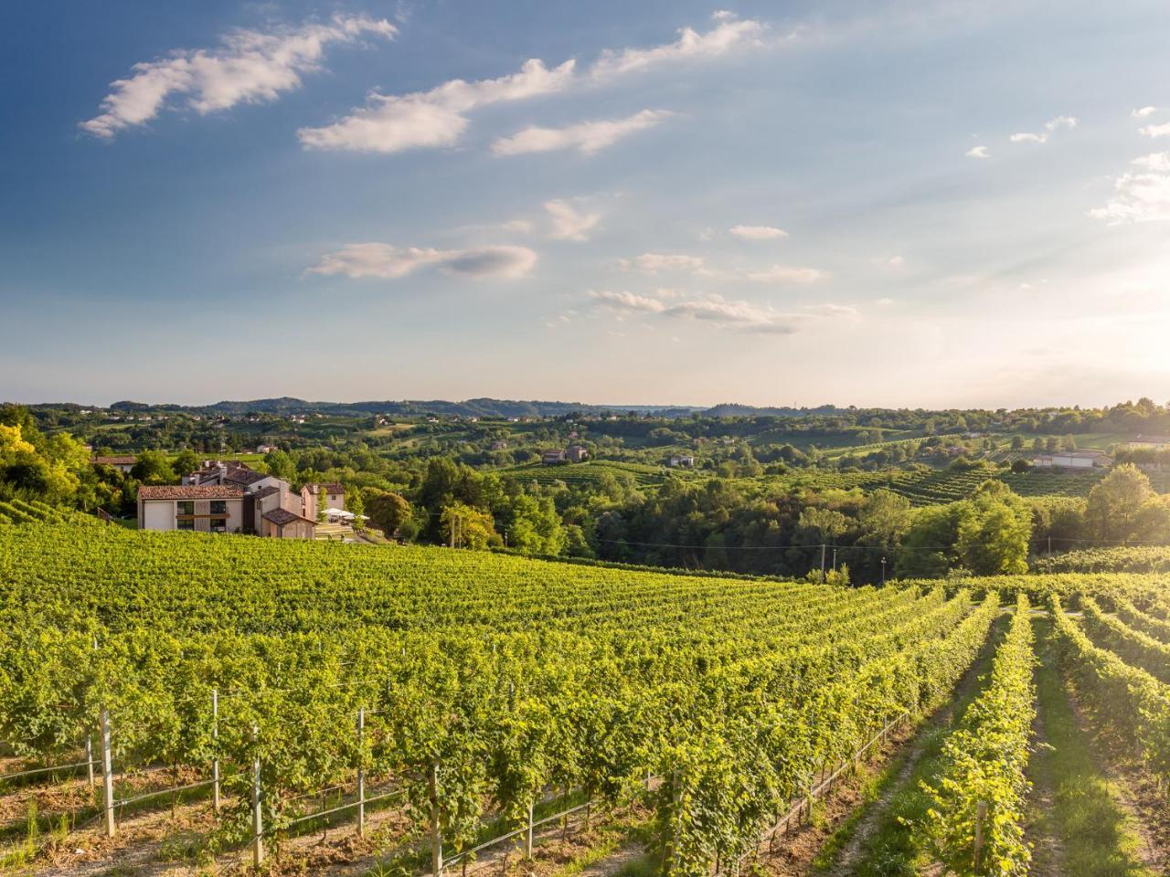 Tenuta Sant'Eufemia San Pietro Di Feletto Extérieur photo